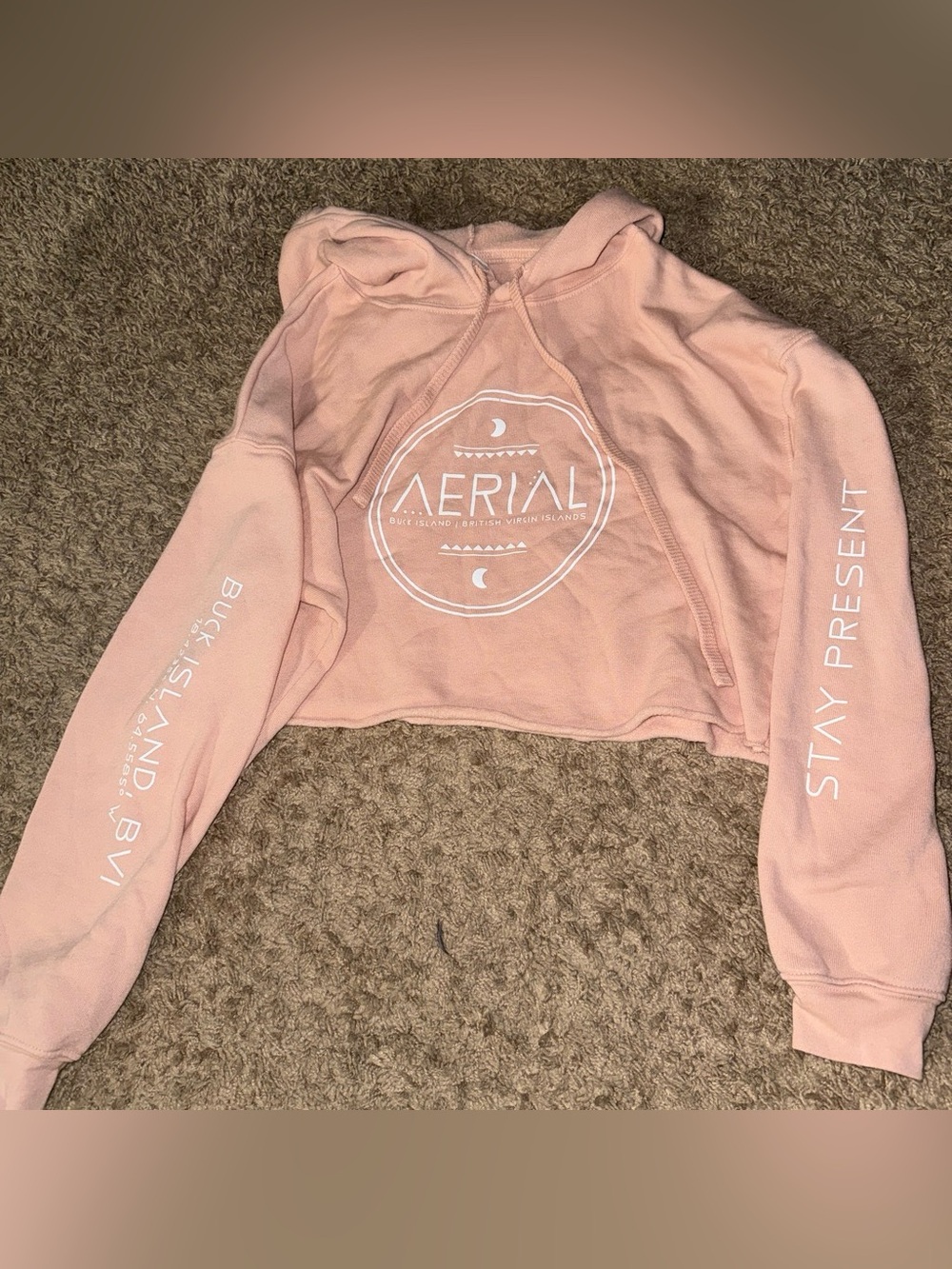 Bella Canvas Blush Pink Cropped Hoodie with White Print